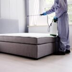 7 Mistakes to Avoid When Dealing With Mattress Bed Bugs