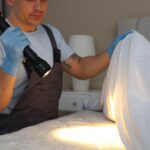 8 Facts About Baby Bed Bugs Every Homeowner Should Know