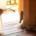 How Do Pest Experts Detect Termite Wood Damage in Aurora