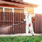 How Do Rodent Control Services Prevent Repeat Infestations