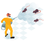 Mouse Control Methods: Traps, Baits and Exclusion Explained